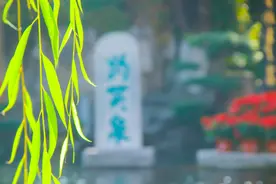 趵突泉“泉眼”保持千年涌水，究竟怎么回事图片