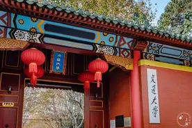 郑大提前批679分考生现真身，放弃985选择临床5+3，网友：羡慕图片