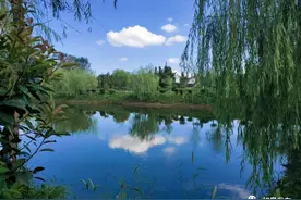 新时代文明实践在如皋 | 江安镇陈庄村：文明实践引领乡村振兴！图片