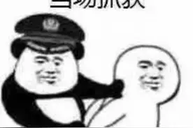 警察被跟踪？上海一女子尾随警车开进派出所，竟然还喝过酒图片