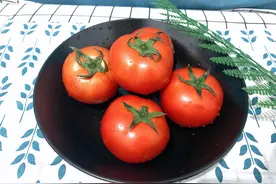 番茄打了激素怎样辨别？菜农：教你4个方法，不用担心买到催熟的图片