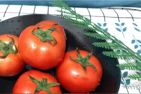 番茄打了激素怎样辨别？菜农：教你4个方法，不用担心买到催熟的图片