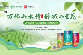县领导齐上阵助农带货！4月24日抖音直播间 “舒城小兰花”线上开品图片