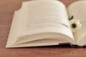 专访 | 双非院校，一次拿下CATTI二级口笔译双证不是梦图片