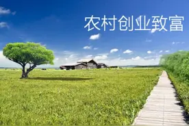 家庭作坊，小创业，树脂工艺品生产好项目，投资少，利润高图片