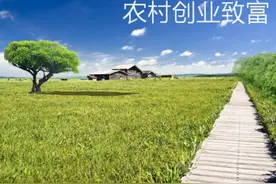 家庭作坊，小创业，树脂工艺品生产好项目，投资少，利润高图片