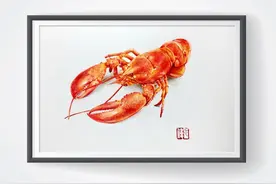 色铅彩绘 | 详细步骤完成一幅大龙虾【零基础彩铅画入门教程】图片