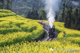 河南省2019对口本科烹饪、服装、文秘和体育类各专业招生计划图片