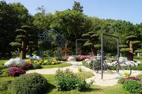 菊花、桂花、红枫、水杉……长三角这些地方秋意正浓！图片