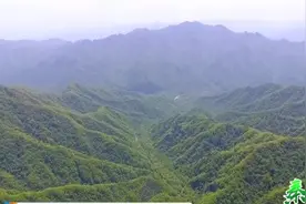 秦岭之夏：探秘九龙潭 旖旎风光美如画图片