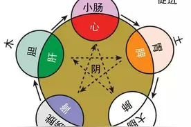 中医基础理论——五脏的关系（一）图片
