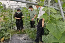 云梦检察：检察长走访省人大代表夏以良图片