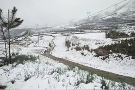任性的天气！夏天下雪，网友：这“冻人”的夏天图片