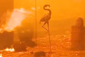 美国加州森林大火 好莱坞著名取景地派拉蒙牧场已被烧为灰烬视频封面