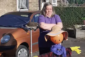 伦敦东部小城出现无敌破坏王，破坏车辆雨刮器，敲打住户窗户；"真凶"原来是一对乌鸦图片