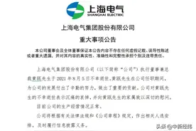上海电气“黑天鹅”不断飞出图片