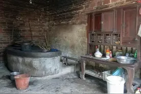 农村生活，公鸡打架，现在城市里的小朋友很少见的到了图片