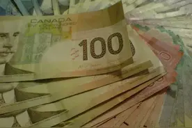 突发！加拿大政府动手 冒领CERB 双倍返还救济金+罚款+坐牢+遣返图片