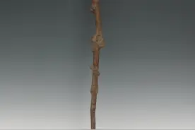 罗亦农精心选择茶树枝亲手制作拐杖，自己投身革命拐杖替他陪伴母亲图片