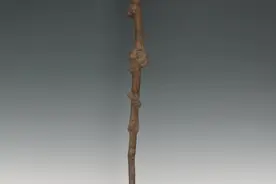 罗亦农精心选择茶树枝亲手制作拐杖，自己投身革命拐杖替他陪伴母亲图片