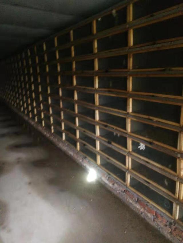 云耕时代白玉蜗牛养殖层次养殖模式