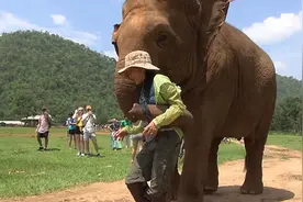 女孩被大象顶着往前走，她也是一头雾水，直到走近小象才明白图片