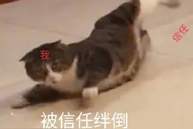 网购二手闲置物品，再三确认完好商品仍有问题，买家能否要求“退一赔三”？图片