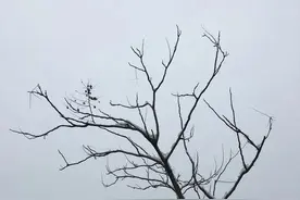 一听就感觉触景生情图片