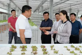 松原市委书记李晓杰深入查干湖旅游经济开发区和乾安县，实地调研生态保护、项目建设、乡村振兴等工作图片