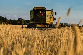 收割机收小麦时为什么会产生“夹带损失”？跑粮应该如何处理？图片