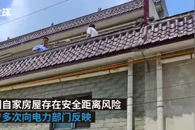 14岁少年翻墙触高压线身亡，赔钱就可以了？图片