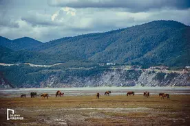什么？从泸沽湖到香格里拉居然有捷径？还少走三分之二的路程图片