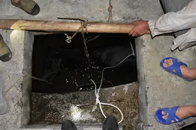 绝对马失前蹄！识途老马掉入水窖，消防鏖战四个小时助其脱困图片