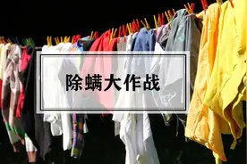 易过敏体质注意！科学起效的除螨手段来了，和鼻炎、红疹说拜拜图片