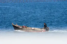 春天，鱼腹内的鱼杂可别扔，跟豆腐是绝配，焖一锅吃，特鲜图片