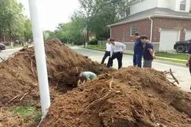 什么农药能把树根完全除掉？视频封面