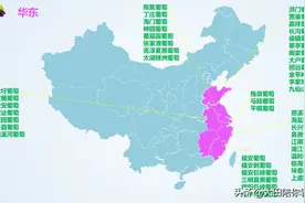 夏天第一颗葡萄吃什么，快看全国名优葡萄出产分布图片