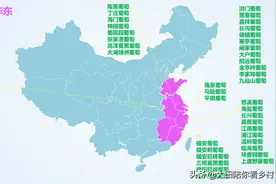 夏天第一颗葡萄吃什么，快看全国名优葡萄出产分布图片