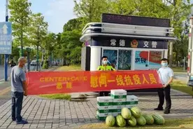 鹧鸪天、团结力量大图片