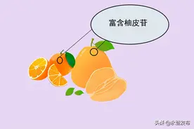 柚皮苷的魅力图片