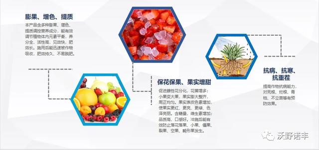 国家重点研发计划产业化「2021国内酶解氨基酸叶面肥的新旗舰」