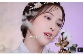 网红Pony疑用国风发簪宣传韩服，赚了钱还要恶心人？吃相难看图片