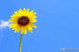 快乐的秘诀！（送给所有人）图片