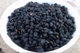 中药古今研究：补骨脂图片