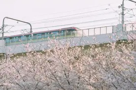 变得“混蛋”之后，我的日子爽多了图片