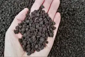 养花追肥用“羊粪”，选对了促进生长、选错了土壤板结、烂根图片