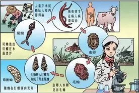 【榕哥烙科】第378期：“瘟神”的克星是谁？是科学医疗图片
