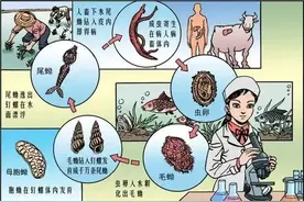 【榕哥烙科】第378期：“瘟神”的克星是谁？是科学医疗图片