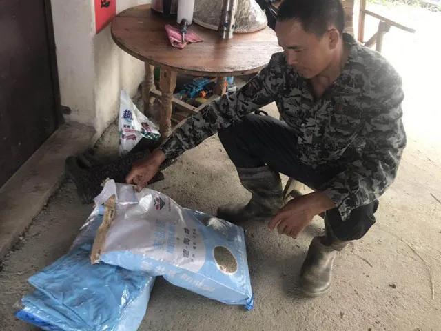 对虾放苗水质该如何处理？