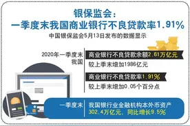 2020年银行坏账要上3万亿？银行审慎放贷盯“三品”图片